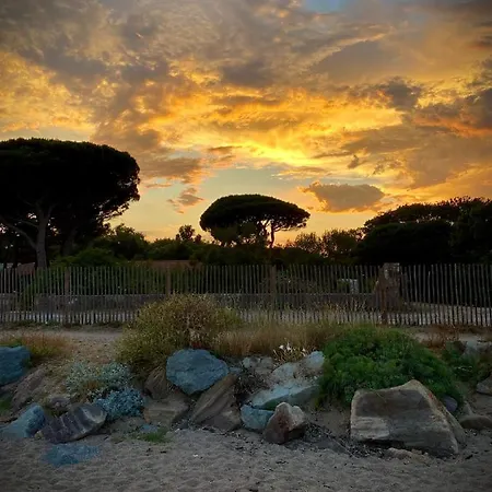 Port-frejus, Le Consul, 2 Pieces Climatise, Terrasse & Parking