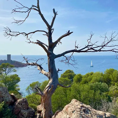 Port-fréjus, Le Consul, 2 Pièces Climatisé, Terrasse&parking *