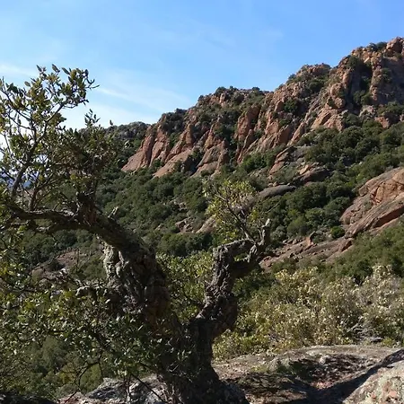 Port-fréjus, Le Consul, 2 Pièces Climatisé, Terrasse&parking Fréjus